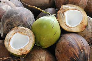 img-teaser-coconut